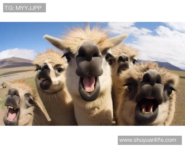 队友伤害大揭秘:搞笑瞬间让你捧腹大笑的奇葩时刻 队友伤害大揭秘:搞笑瞬间让你捧腹大笑的奇葩时刻