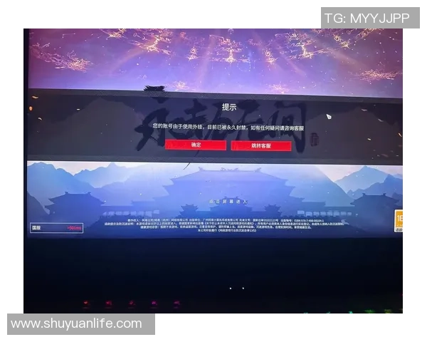 反外挂系统成果展示与永劫无间游戏公平性提升的深度分析与探讨